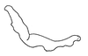 Stylus: Male: style, lateral view. (Observation).