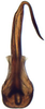 Aedeagus, ventral view: Pendarus magnus, aedeagus, caudally (INHS). (Observation).