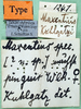 CollectionObject 1500724; 7da4fbbd-b8ea-4998-8bfd-965977538d90: labels (holotype). (CollectionObject).