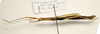 CollectionObject 1595833; ff5fcbcd-51c4-4949-9736-54c189947acb: copyright Francis Seow-Choen. female, lateral view (paratype). (CollectionObject).;CollectionObject 1595834; b38154f1-a011-4ea1-8cc0-b8a916dc29d2: copyright Francis Seow-Choen. female, lateral view (paratype). (CollectionObject).