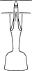 Aedeagus, ventral view: Aedeagus, ventral view. (Observation).
