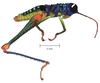 Micropaon lucens Descamps & Rowell, 1984: male, lateral view. (Otu).