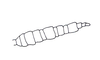 Sciponacris trichilae Descamps, 1978: Fig. 75. male, antenna. (Otu).
