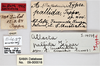 CollectionObject 1863254; f8342bdc-bf43-48a3-b2dc-bb4bac19b0bb: (CollectionObject).