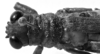 CollectionObject 1532746; 7f66f7d1-97a4-443c-8133-b9948ae89dee: Image Carbonell, C.S. male head and pronotum, dorsal view (holotype). (CollectionObject).
