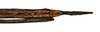 CollectionObject 1557221; NMW 972', 47213140-8d79-4db1-995a-2cef86019d43: copyright NHMW, Vienna. female: end of abdomen, ventral view (holotype). (CollectionObject).