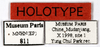 CollectionObject 1587520; MNHN(SF IMPORT DUPLICATE) MNHN-EP-EP811, 3844f535-919f-456a-8314-e8d2e66b47b1: CC BY-NC-ND 4.0/MNHN - Depraetere Marion - 2014. Holotype, male, of parvus Grandcolas & Park, 2005. Specimen number: MNHN-EP-EP811. http://coldb.mnhn.fr/catalognumber/mnhn/ep/ep811. (CollectionObject).