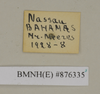 CollectionObject 1572928; ac7718f4-b108-4ee3-9816-c9f25a996a25: Copyright Natural History Museum, London. Labels from non-type (adult male) in BM(NH). (CollectionObject).