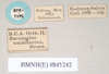 CollectionObject 1559030; NHMUK(SF IMPORT DUPLICATE) 845242, 409f2cdf-3239-43a6-a21b-7361087c09e9: copyright Natural History Museum, London. female juv., data labels (syntype). (CollectionObject).
