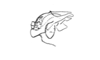 Brakeracris varablancensis Rowell, 1995: Fig. 5D. endo- and ectophallus, lateral view. (Otu).