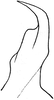 Stylus on Euscelidius obenbergeri Dlabola, 1957: Stylus. (Observation).