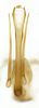 Pygofer, posterior view on Coelogypona venosella DeLong & Freytag, 1966: Male [DZRJ]: aedeagus, posterior view. (Observation).