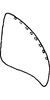 Subgenital plate: !! display not done !! on Maiestas beieri (Dlabola, 1964): Subgenital plate. (Observation).