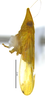 Habitus, lateral view: Male specimen [DZRJ]: habitus, lateral view. (Observation).