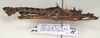 CollectionObject 1577049; 313d62c4-8fe0-4fea-ac1c-777a0eb59eda: copyright ZIN St. Petersburg. male, lateral view (holotype). (CollectionObject).