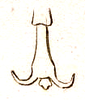 Chrotogonus (Chrotogonus) homalodemus homalodemus (Blanchard, 1836): Pl. 13, Fig 3a. tarsus (Chrotogonus lugubris). (Otu).