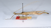 CollectionObject 1559121; e0bffc9a-cb68-4a17-8c0f-aa9024b1ff78: copyright ANSP. male, lateral view (holotype). (CollectionObject).