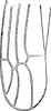Forewing: Forewing. (Observation).