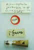 CollectionObject 1523720; 14006a51-fe10-401a-9497-69314cbe671b: labels (holotype). (CollectionObject).