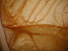 CollectionObject 1530714; c16f3956-1460-43d6-93eb-59af9a918b13: male, stridulatory file (lectotype). (CollectionObject).