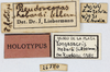 CollectionObject 1478876; eb19e24e-376a-4145-8a72-3579ffa2dc01, MLP26770: labels (holotype). (CollectionObject).