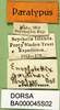 CollectionObject 1502206; 45c5d091-0a41-44af-af3c-41ac740d4d87: labels (paratype). (CollectionObject).