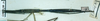 CollectionObject 1561647; d3dd7403-0197-4ef8-b407-137f6e5b8fa8: copyright MNHN, Paris, Pantel coll. female (syntype). (CollectionObject).