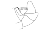Syntomacrella guyanensis guyanensis (Descamps & Amédégnato, 1970): Fig. 39. male abdomen tip, lateral view. (Otu).