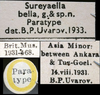 CollectionObject 1568279; e8037b38-f955-4fc9-9522-96788617859c: labels (paratype). (CollectionObject).