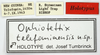 CollectionObject 1581741; 8474a309-4107-4ab4-a806-969b0c2e7d50: male, labels (holotype). (CollectionObject).