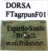 CollectionObject 1505467; b4ef4b31-276b-4803-99a4-d22537ac7232: labels. (CollectionObject).