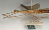CollectionObject 1560769; NMW 1123', e743d704-5199-4b03-b7e2-68733085c6d1: copyright NMW, Vienna. female: head and thorax, lateral view (syntype). (CollectionObject).