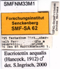 CollectionObject 1505424; 7c838a34-8a8b-44ce-9c0c-26e888d7e00a: labels. (CollectionObject).