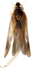 Habitus, dorsal view on Bundera onukiiformis Dietrich, Nguyen & Pham, 2020: holotype, male. (Observation).