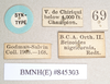 CollectionObject 1557516; 5e32f1d7-4070-4d0e-841a-5584fcfd7456: copyright Natural History Museum, London. female, data labels (syntype). (CollectionObject).