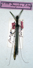 CollectionObject 1557514; NMW 166', 54b4691a-2e01-48a1-ad64-1c022846ad4c: copyright NMW, Vienna. male (syntype). (CollectionObject).