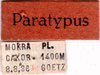 CollectionObject 1505224; c856083f-7c3c-4641-a9e1-07c9ce144e91: labels (paratype). (CollectionObject).
