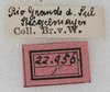 CollectionObject 1566589; NMW 22956, 259a157c-356c-41e8-b07c-46726a03052e: labels. (CollectionObject).