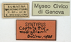 CollectionObject 1577317; e49dfe44-7c3d-45f8-ba81-8662919129ec: labels (syntype). (CollectionObject).