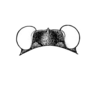 CollectionObject 1518027; 3b6205f0-fc62-4ee1-8498-a30b71828eda, NHMUK10924450: Plate 17, Fig. 7 (after type). male head, dorsal view. (CollectionObject).