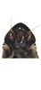 Head: !! display not done !! on Mukaria penthimioides Distant, 1908: Head, male (lectotype). (Observation).