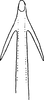 Aedeagus, ventral view: Aedeagus, ventral view. (Observation).