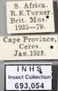 Other on Bonaspeia eriocephalus (Cogan, 1916): Labels. (Observation).