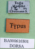 CollectionObject 1502310; 726125c1-321d-4209-811f-2f26d680e9c3: labels (syntype). (CollectionObject).