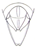 Physophorina livingstonii Westwood, 1874: Fig. 29.4. male abdomen tip, dorsal view. (Otu).