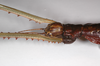 CollectionObject 1558978; fb924f40-d0f5-411c-8c40-8842c57f4ecb: copyright ZMHB, Berlin. female: head & upper thorax, lateral view (holotype). (CollectionObject).