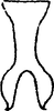 Connective on Dryadomorpha pallida Kirkaldy, 1906: Connective. (Observation).