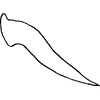 Pygofer appendages on Anuihuajianga pyramidalis Zhang & Song, 2022: dorsal process, lateral view. (Observation).