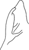 Pygofer, dorsal view: Pygofer, dorsal view. (Observation).