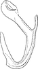 Aedeagus, lateral view: Aedeagus, lateral view. (Observation).